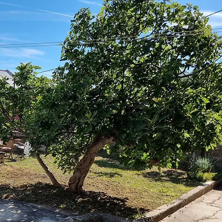 Daire Enjoy Split, New In The Center With A Private Garden