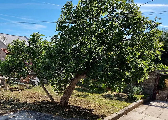 Apartamento Enjoy Split, New In The Center With A Private Garden